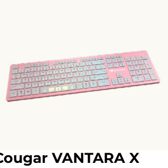 Cougar VANTARA X