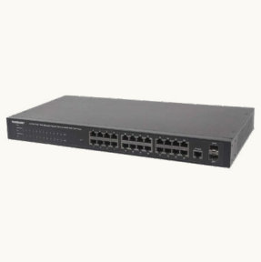 Intellinet 560559